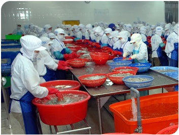 SEAFOOD PROCESSING